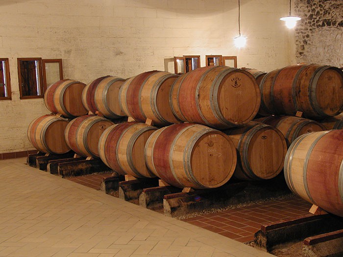 vin de bordeaux haut médoc